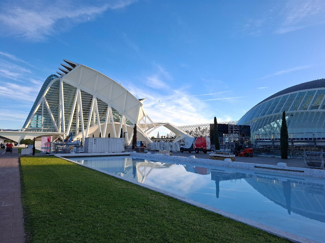 Palacio de las Artes Reina Sofía-巴伦西亚必去景点