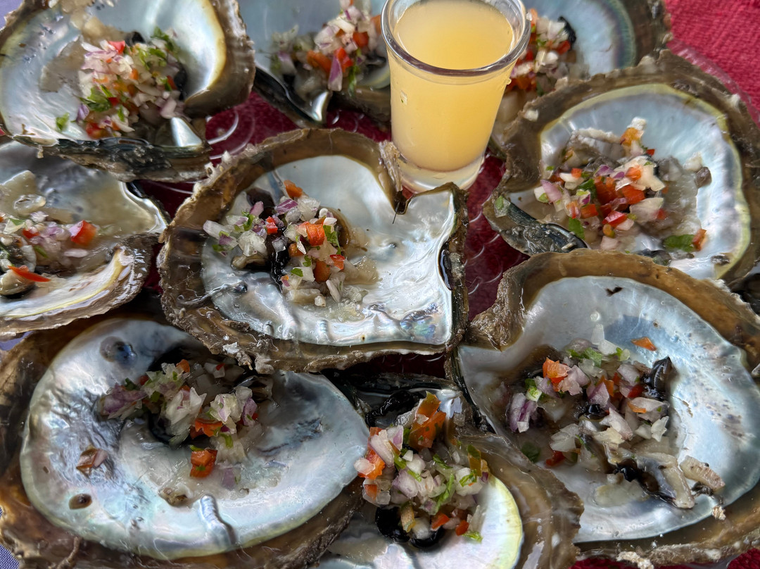 Ale Tours Costa Rica-Santa Barbara必去景点