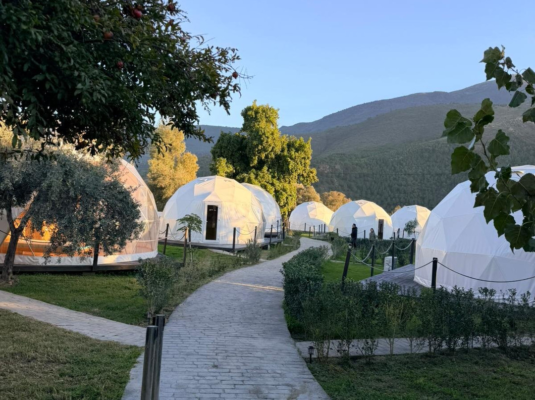 Taray Botanico主图