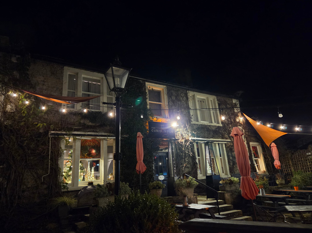 The Curious Fox主图