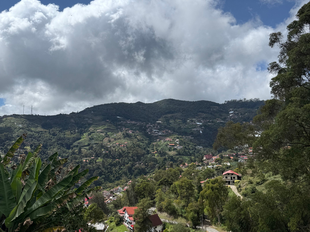 Posada Don Elicio主图