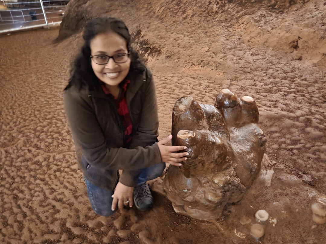 The Lost Sea Adventure-Sweetwater必去景点