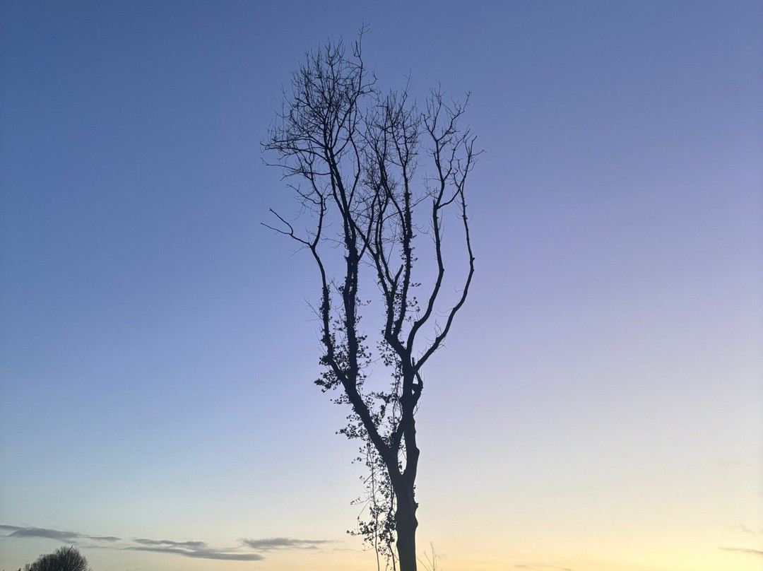 Gosford Forest Park-阿尔马必去景点