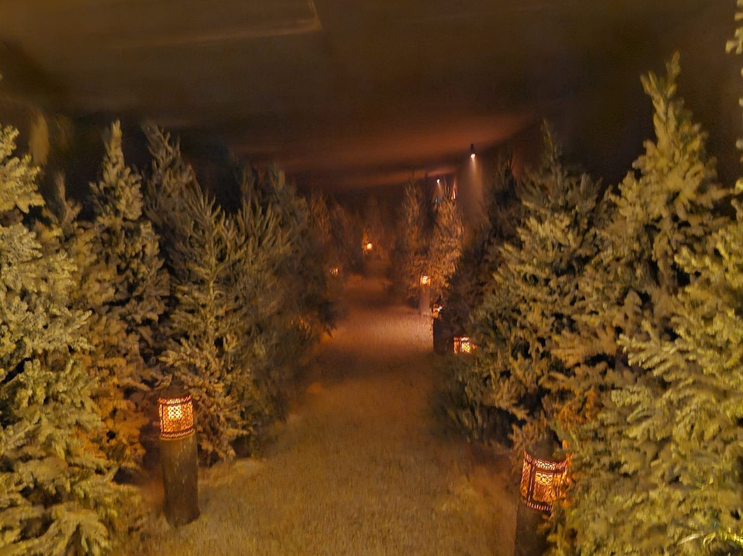 Lapland UK Manchester-麦克尔斯菲尔德必去景点