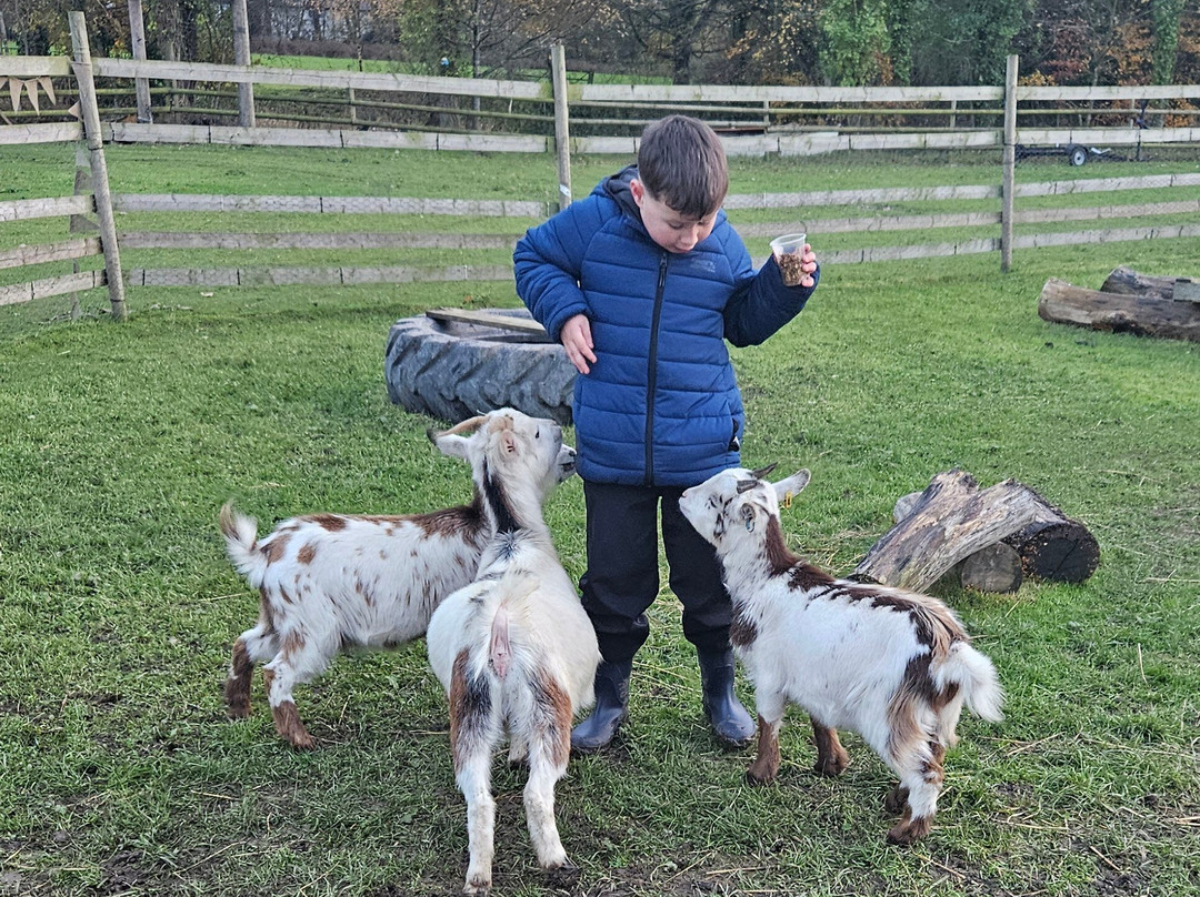 Woodlands Alpaca Farm-沃灵顿必去景点