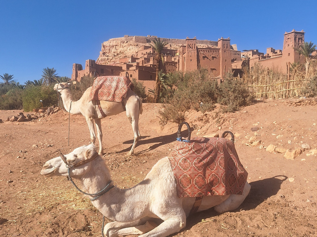Eco Desert Morocco-卡萨布兰卡必去景点