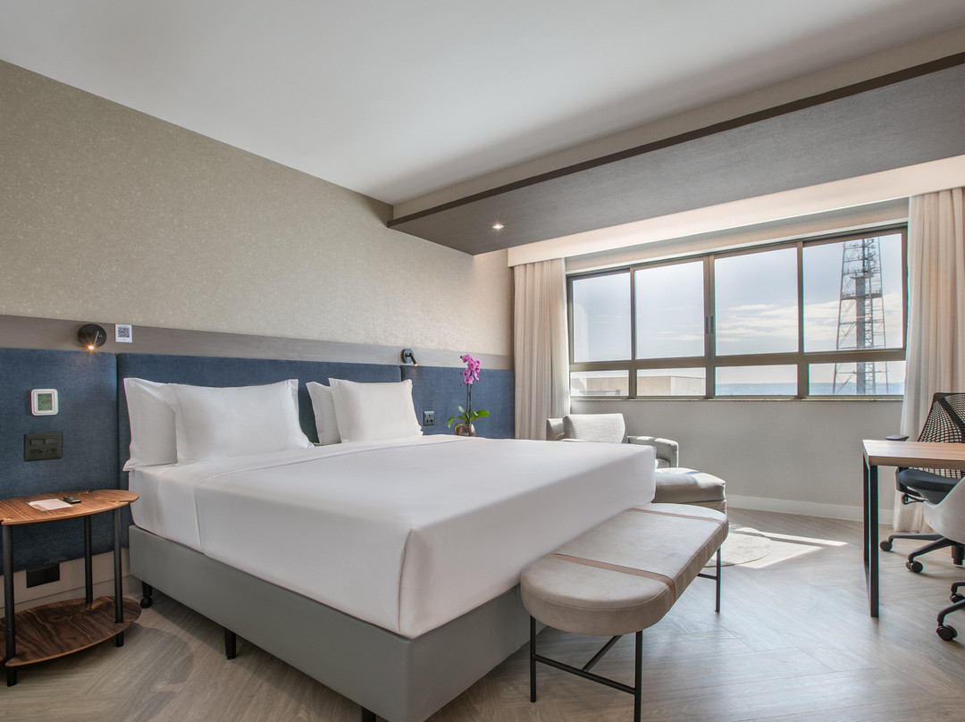 Melia Brasil 21主图