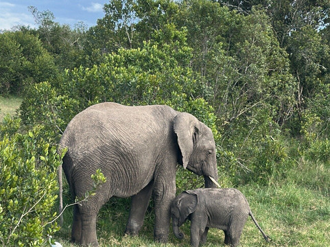 African Savannah Holidays-内罗毕必去景点