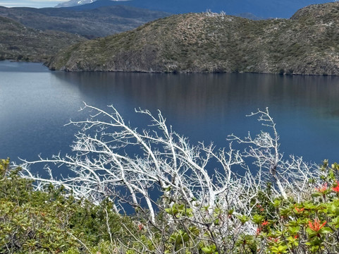 Patagonia Hero-纳塔莱斯港必去景点