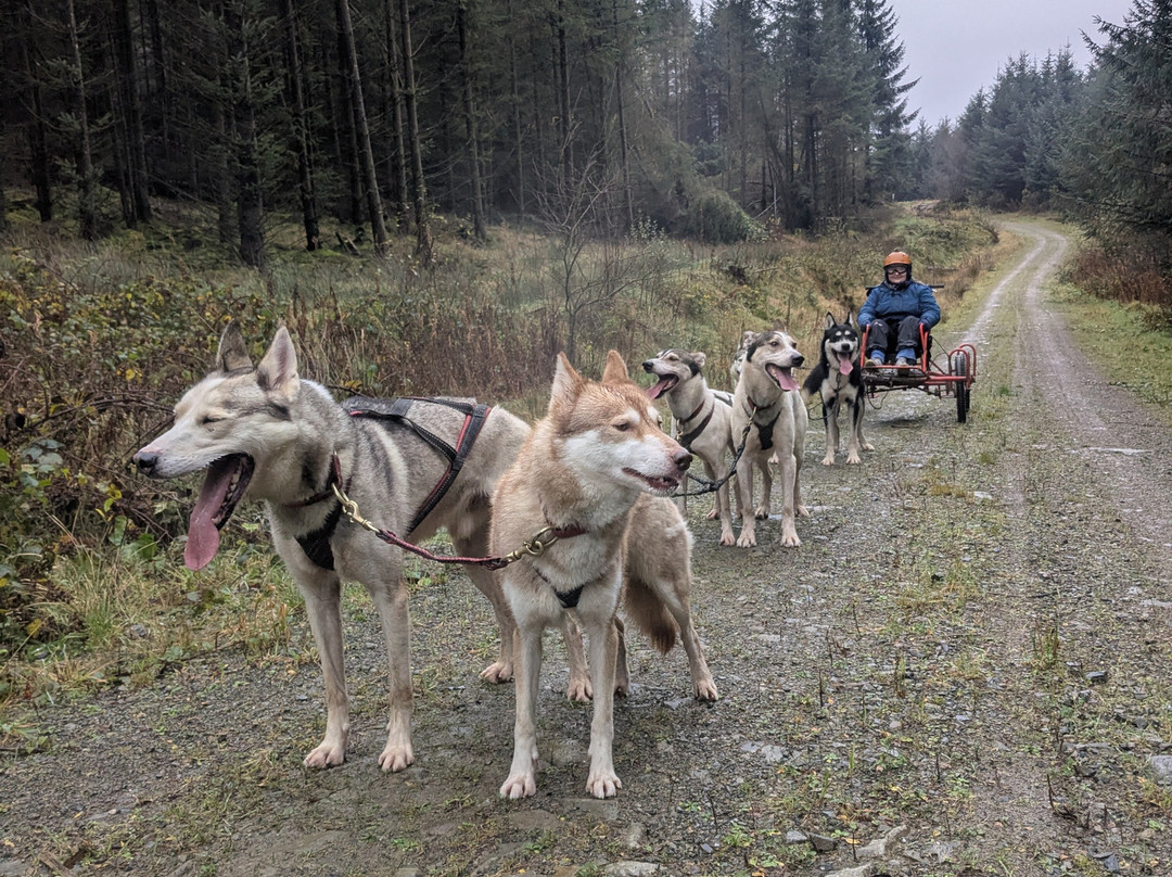 Mynydd Sleddog Adventures-Cerrigydrudion必去景点