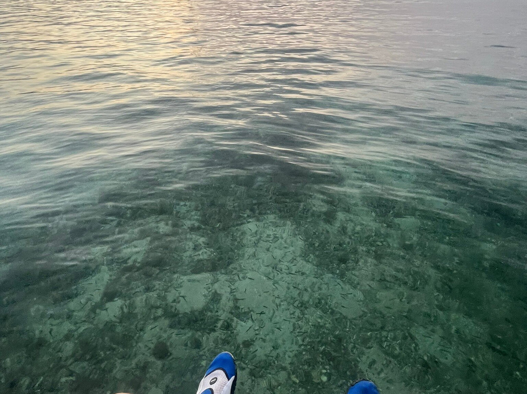 IslaBela-Islas de Rosario必去景点