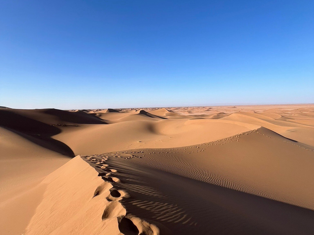 Racines du Désert-迈哈米德必去景点