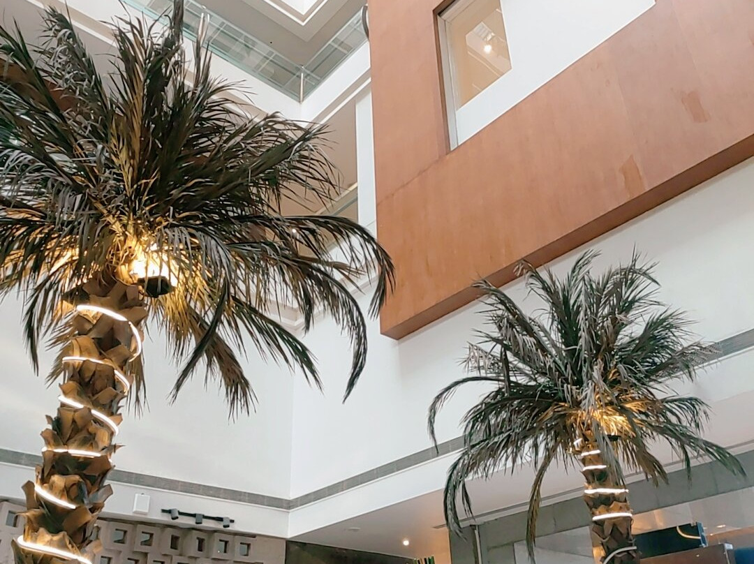 滕伽里根扎酒店主图