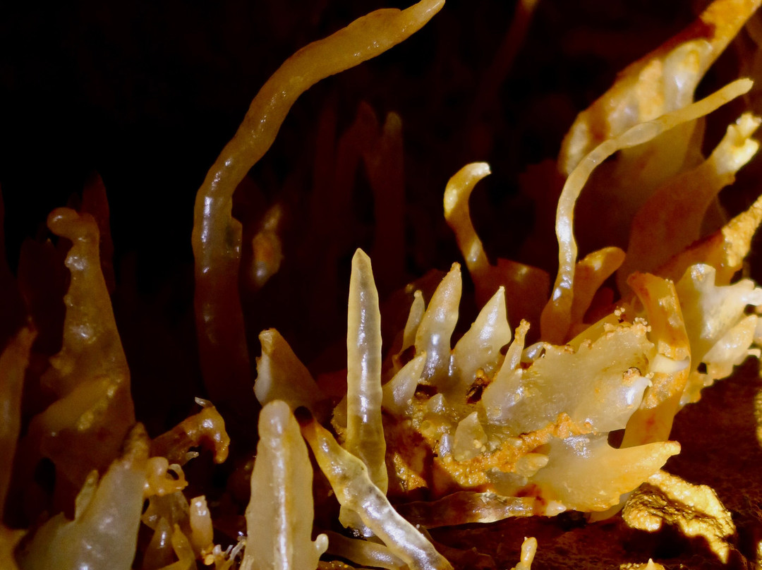 Grotte du Grand Roc-Les Eyzies-de-Tayac-Sireuil必去景点