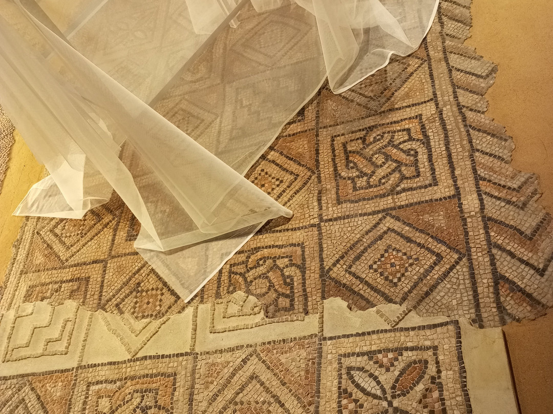 Domus dei Tappeti di Pietra-拉韦纳必去景点