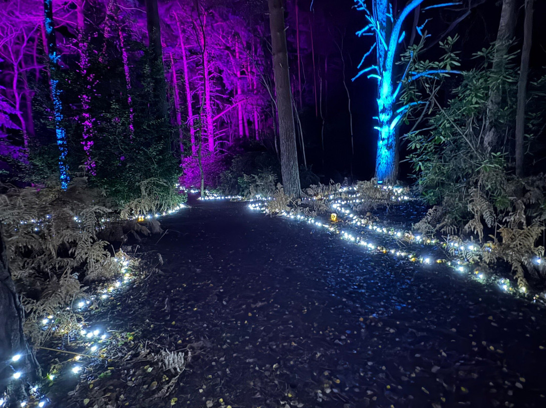 The Sandringham Estate-Sandringham必去景点