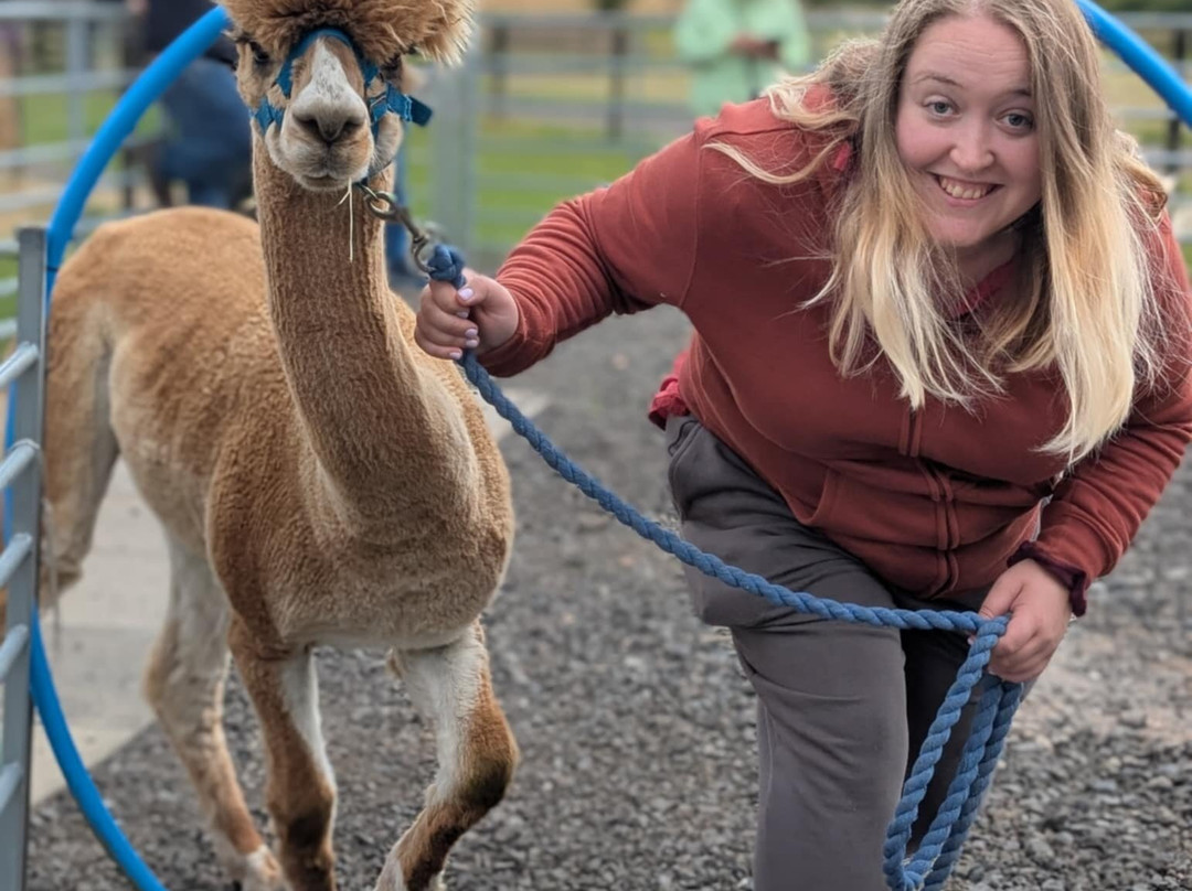 Bowbridge Alpacas Scotland-Peat Inn必去景点