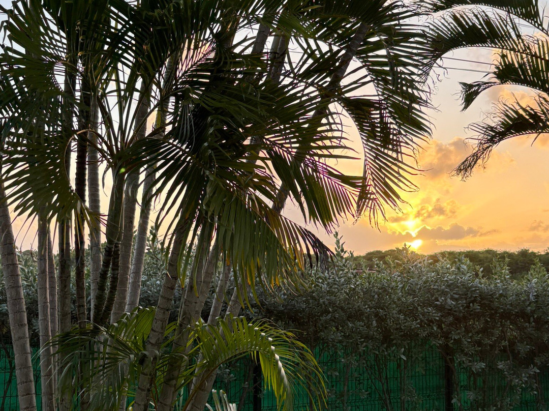 Hotel La Christophine主图