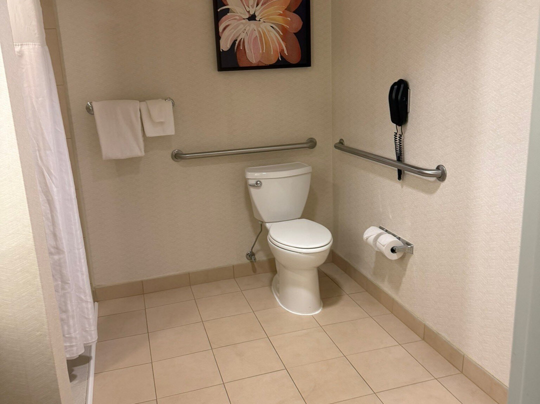 绍姆堡希尔顿花园酒店主图