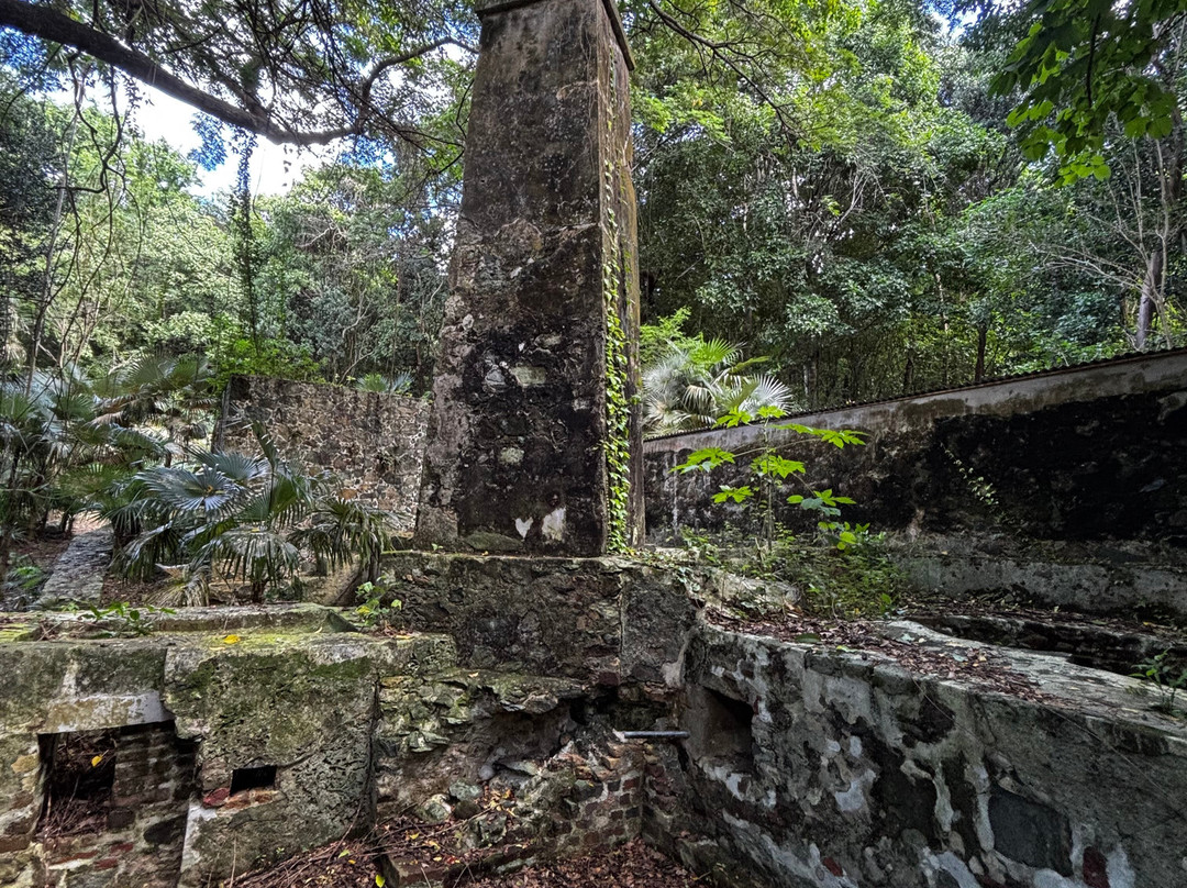 Islandbuddy Jeep Tours-圣 托马斯必去景点