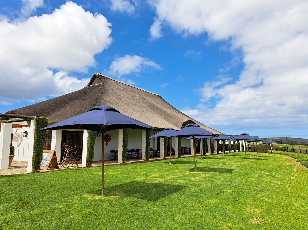 Bouchard Finlayson Winery-赫曼努斯必去景点