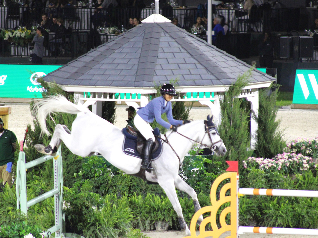 Wellington International-Wellington必去景点