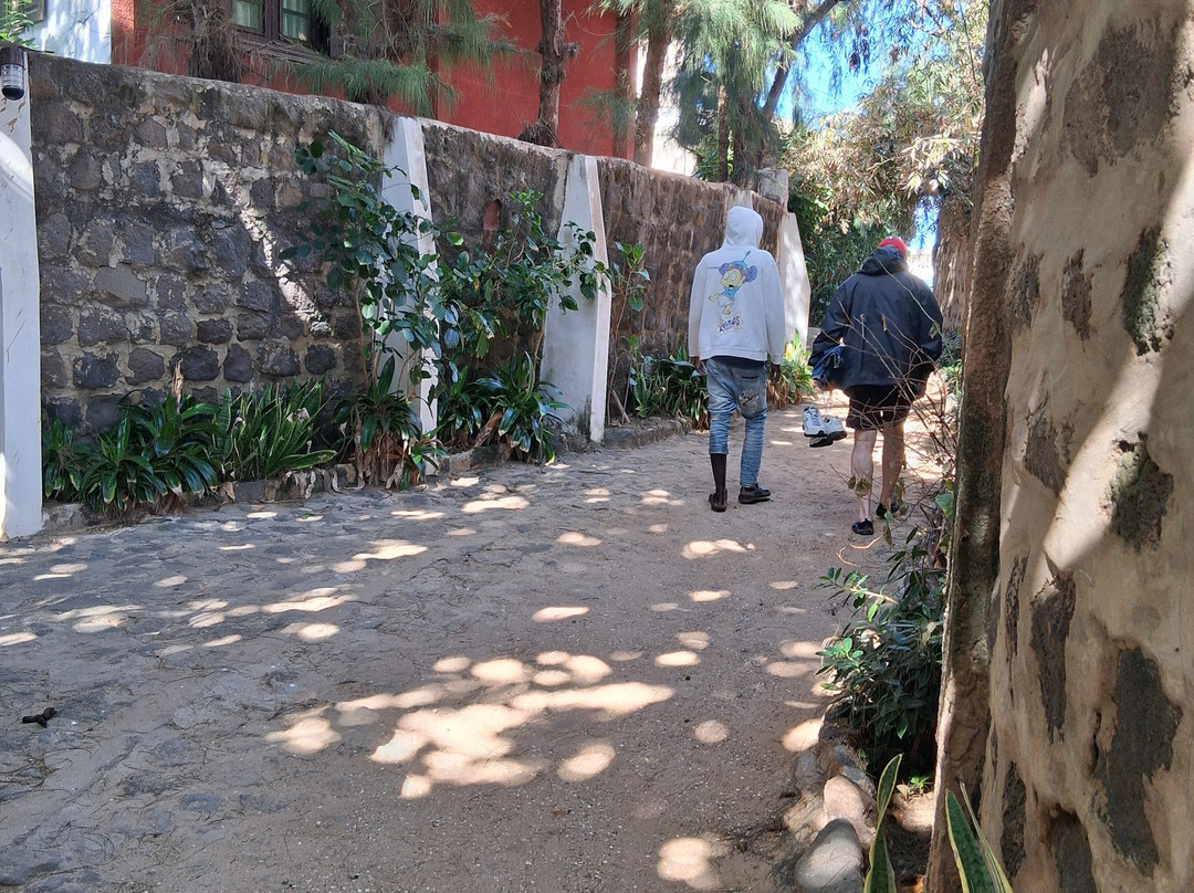 Île de Ngor-达喀尔必去景点