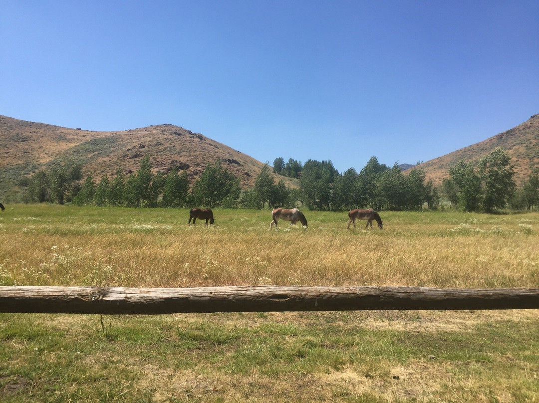 Sun Valley Stables-森瓦利必去景点