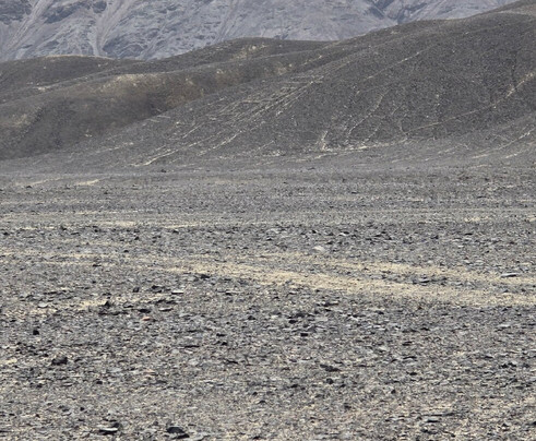 Macanudo Tours-利马必去景点