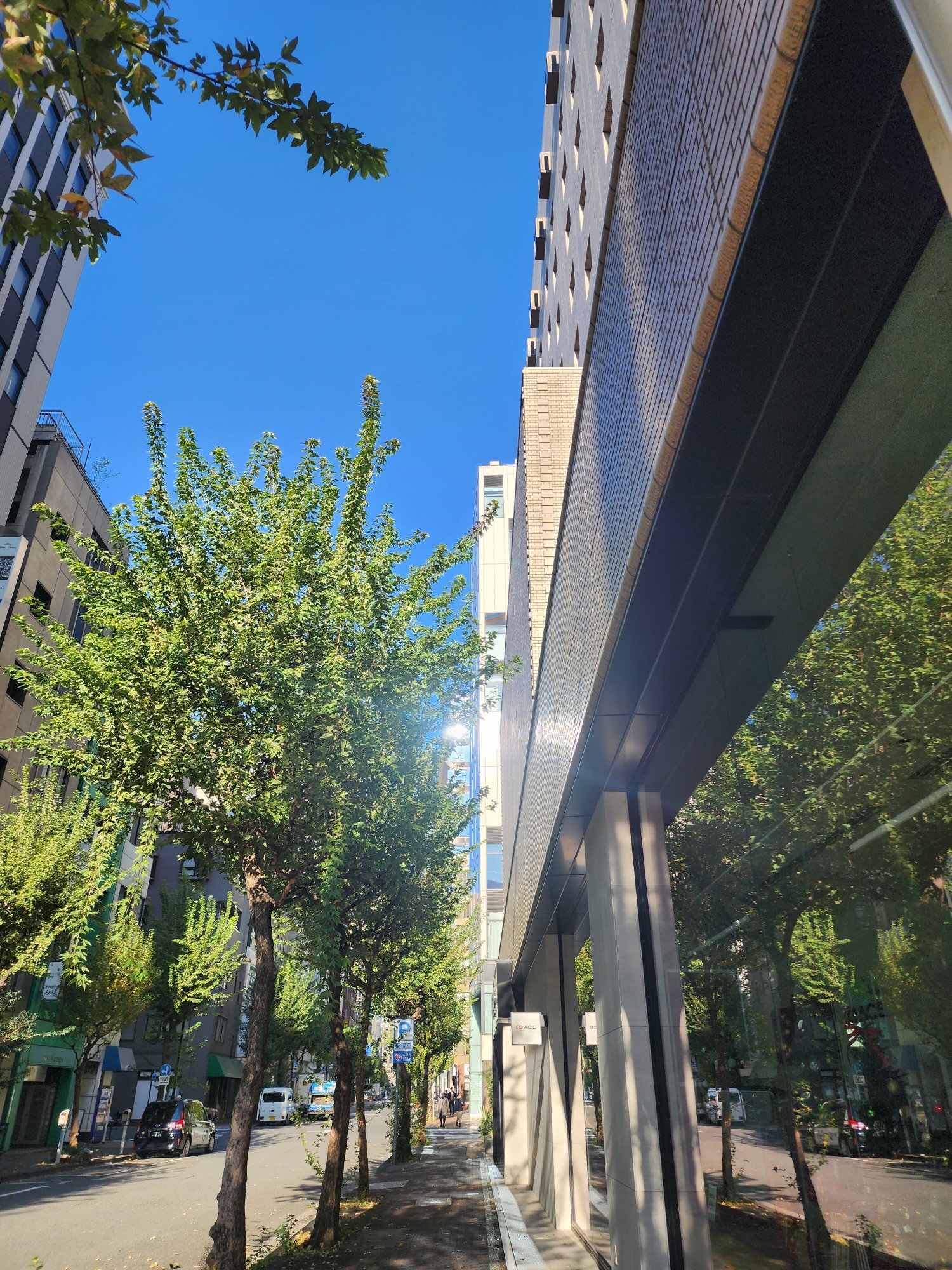 东京公园皇宫酒店-浴室