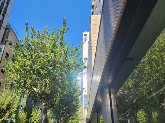 东京公园皇宫酒店主图