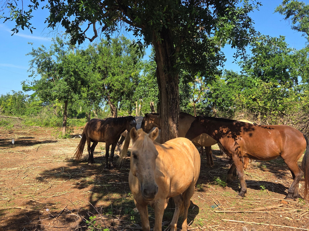 Nexus Tours-蒙特戈贝必去景点