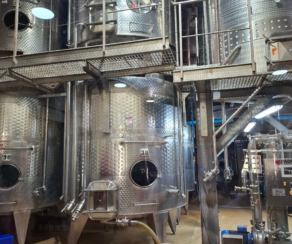 Raka Wine-斯坦福必去景点