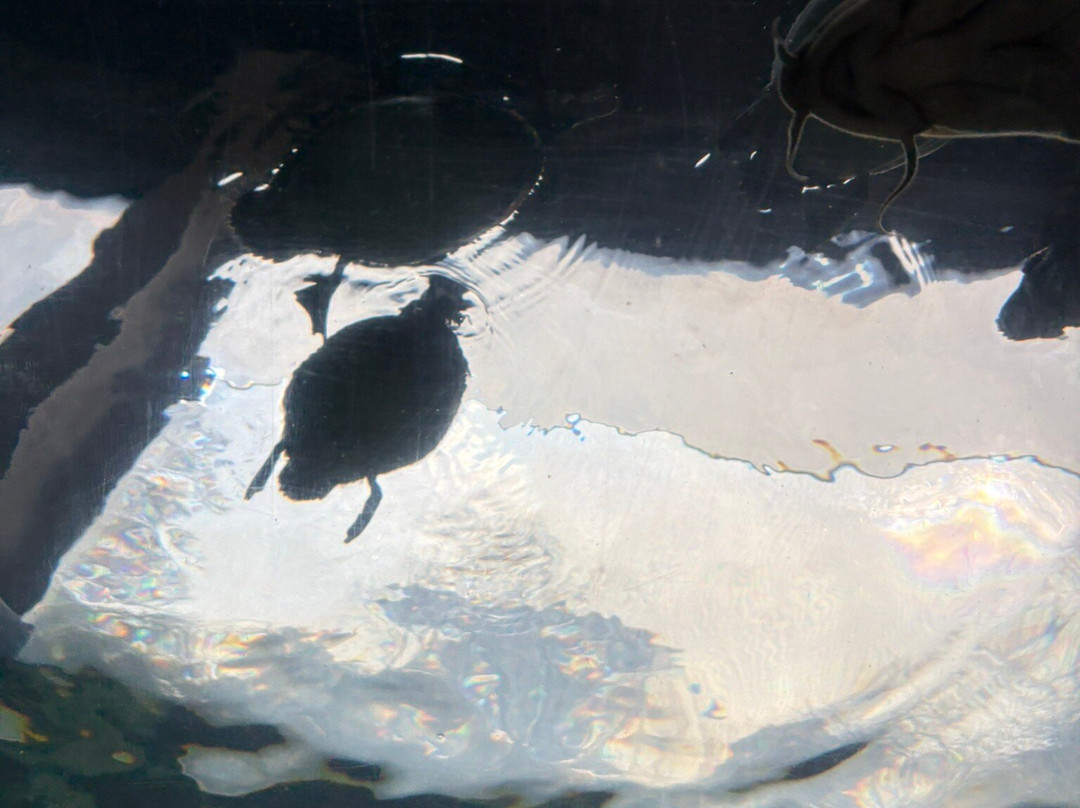 Lakes Aquarium-Newby Bridge必去景点