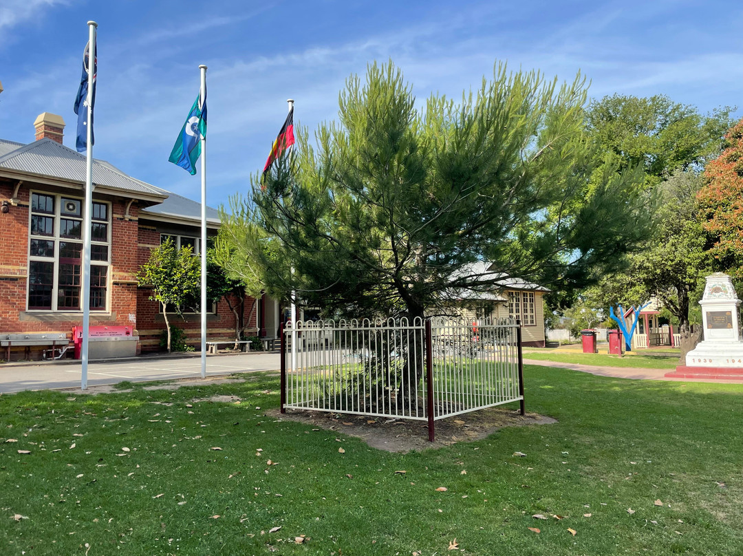 Sale Primary School War Memorial-塞尔必去景点