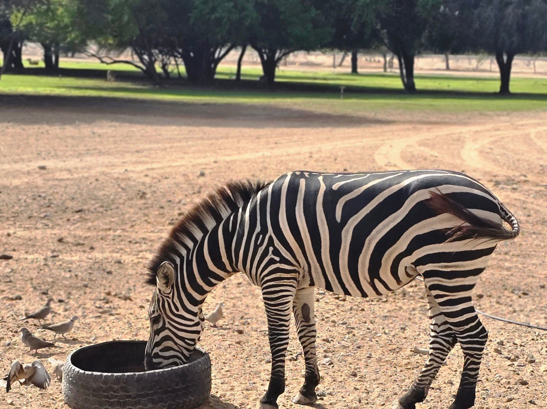 HolidayPanda-萨巴尼亚岛必去景点