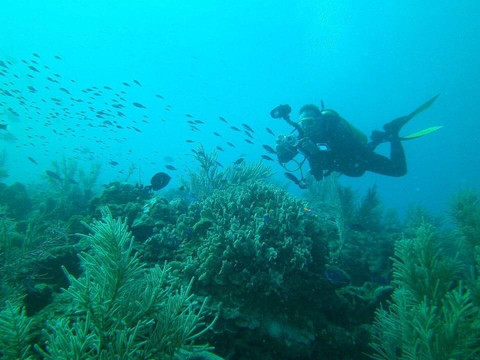 Scuba Vida-巴拉德罗必去景点