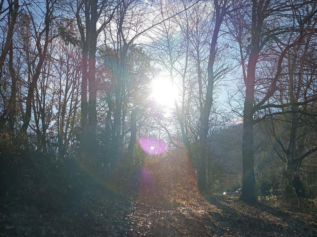 Borgo Medievale di Fiuggi-菲乌吉必去景点