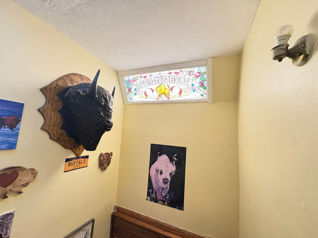 Buffalo Guesthouse