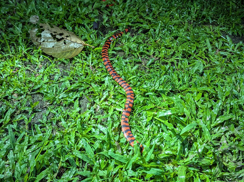 Terra Sur Travels-基多必去景点