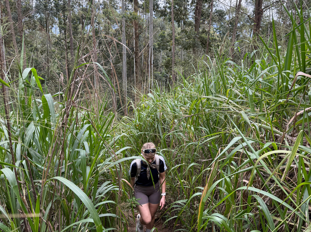 Ella Tours With Gayan Sri Lanka-Hanguranketa必去景点