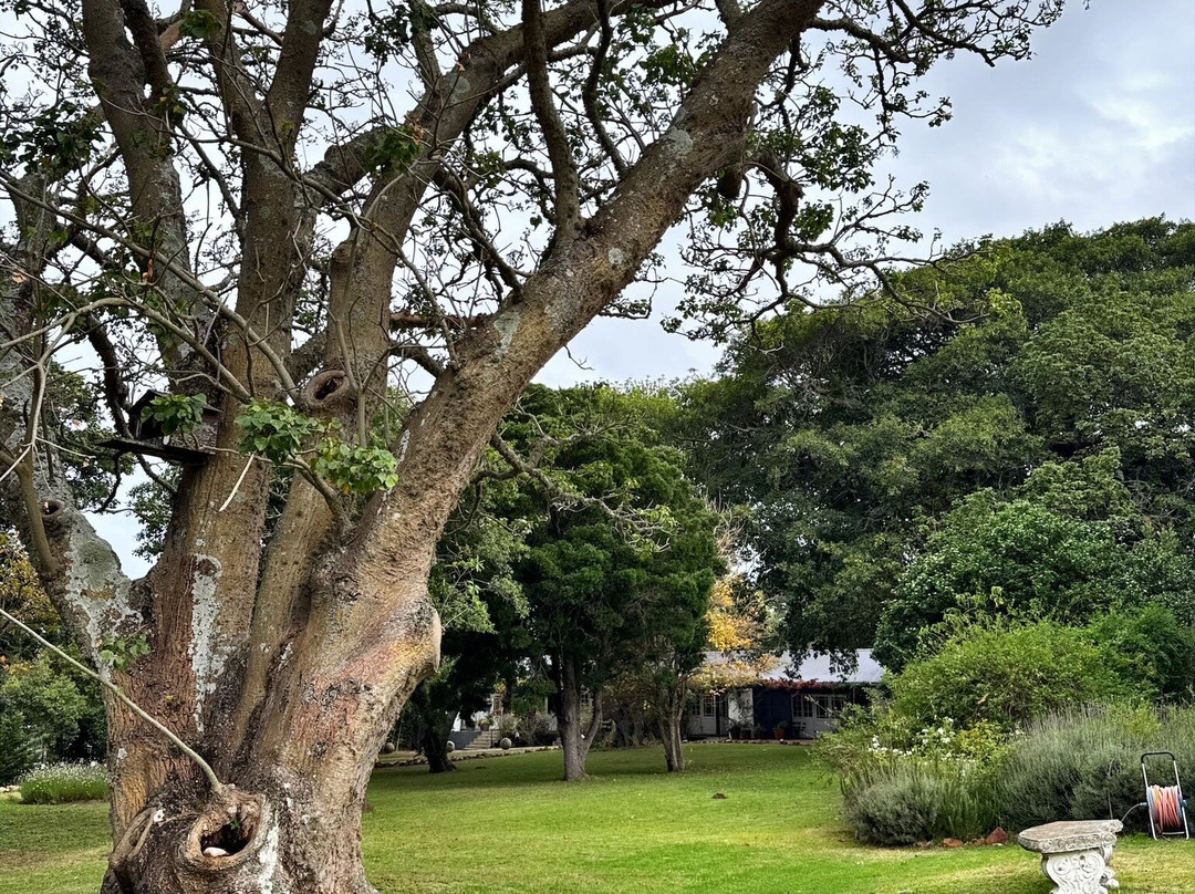 森林厅宾馆主图