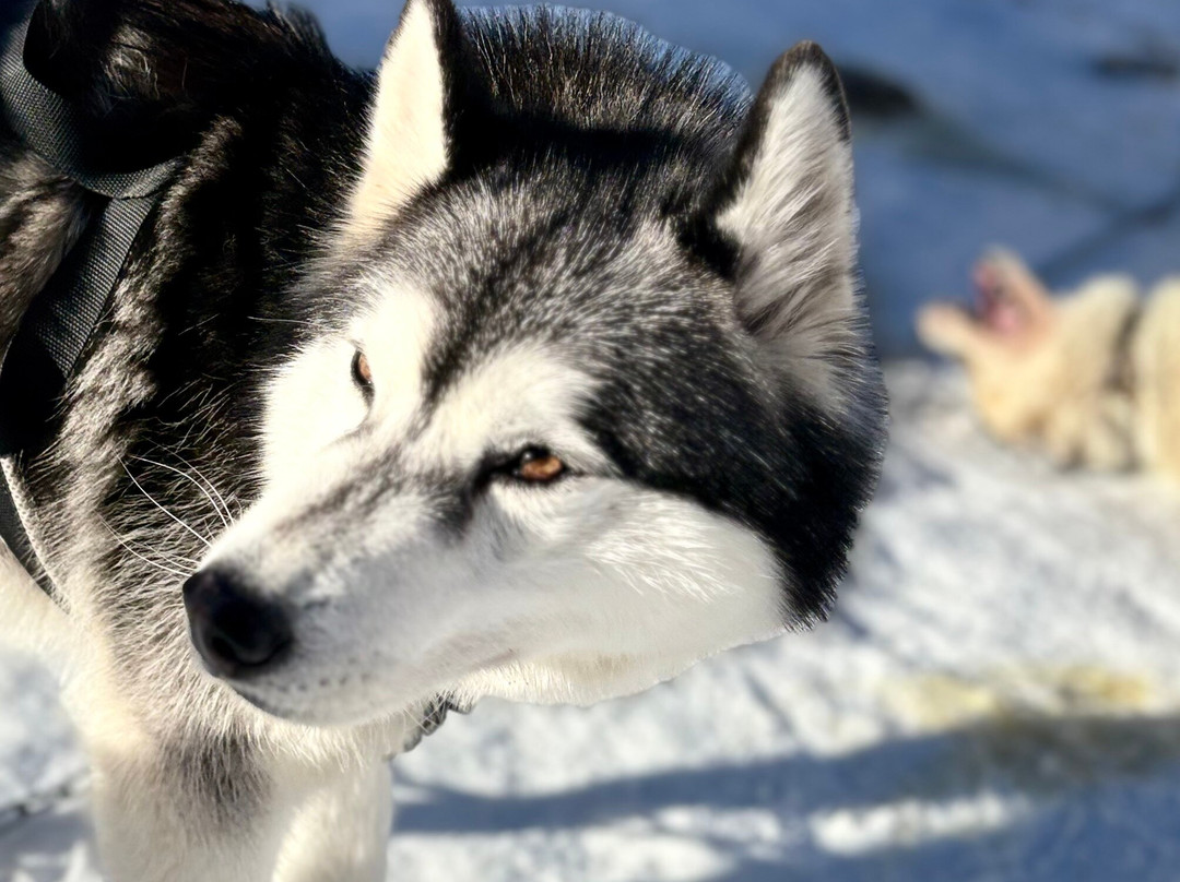 Leila'venture-Molines-en-Queyras必去景点