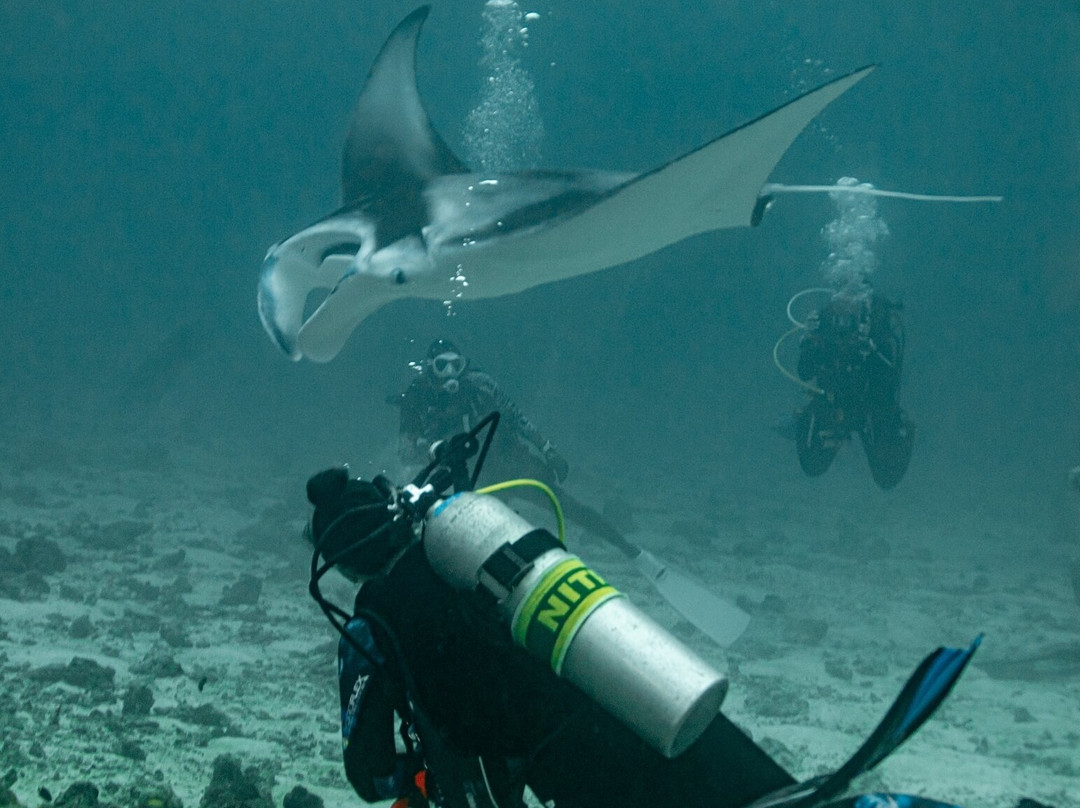 Scubaspa Maldives-马累必去景点