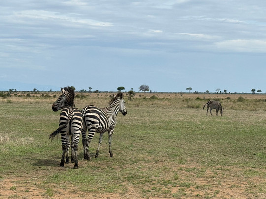 NICE ADVENTURE SAFARI-Dar es Salaam必去景点