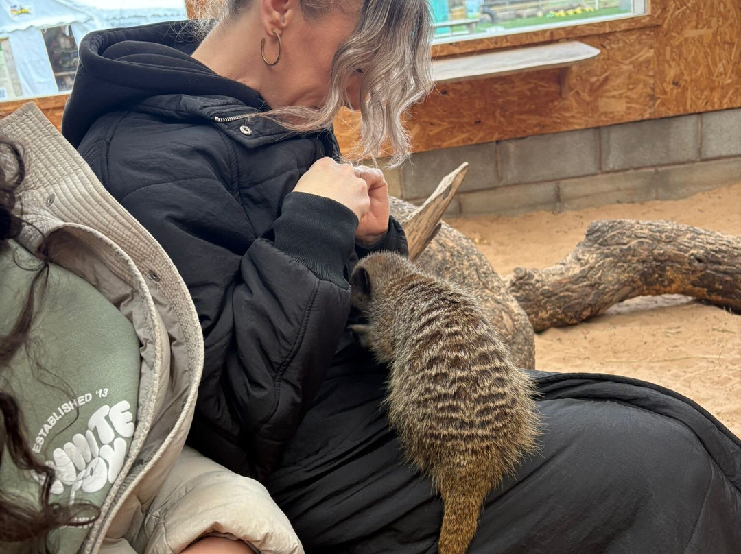 Holmes Chapel Zoo-Holmes Chapel必去景点