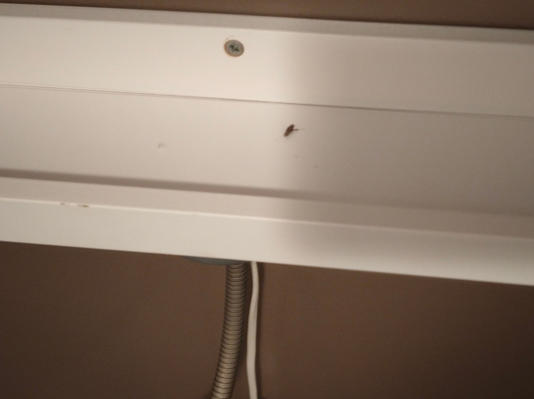 Domaine Long Pre主图