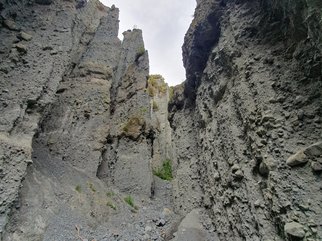 Pinnacles Track-惠灵顿必去景点