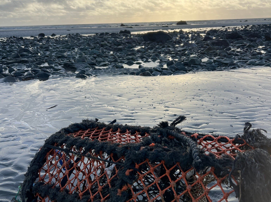 Tyrella Beach-Downpatrick必去景点
