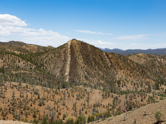 Wallaby Tracks Adventure Tours-阔恩必去景点